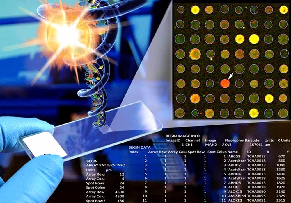 Cell Adhesion Microarray Service