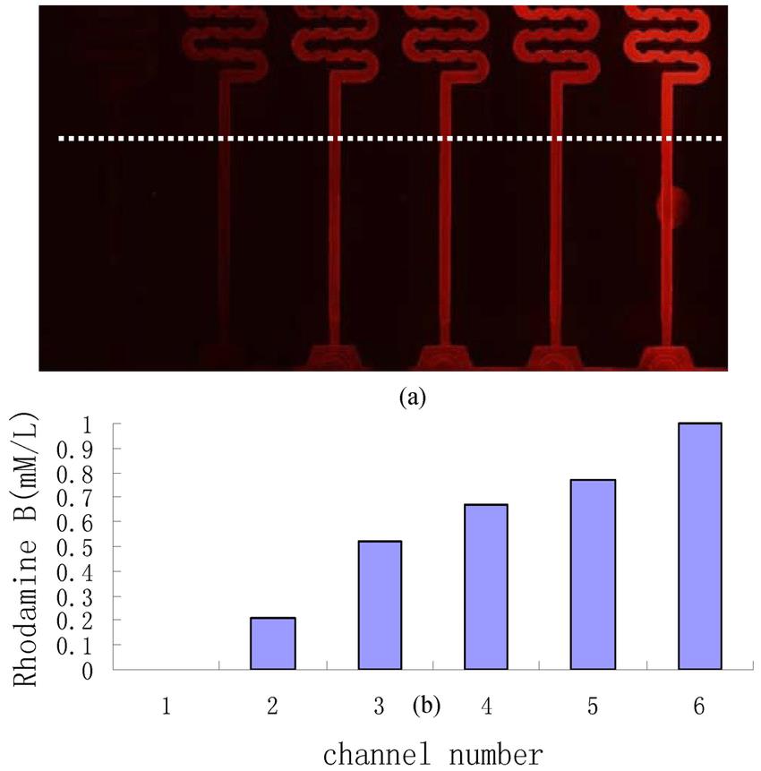 Microfluidic Chamber Assay