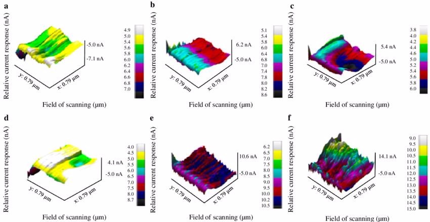 Scanning Electrochemical Microscopy (SECM)