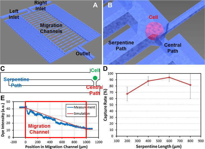 Single-Cell Migration Chip