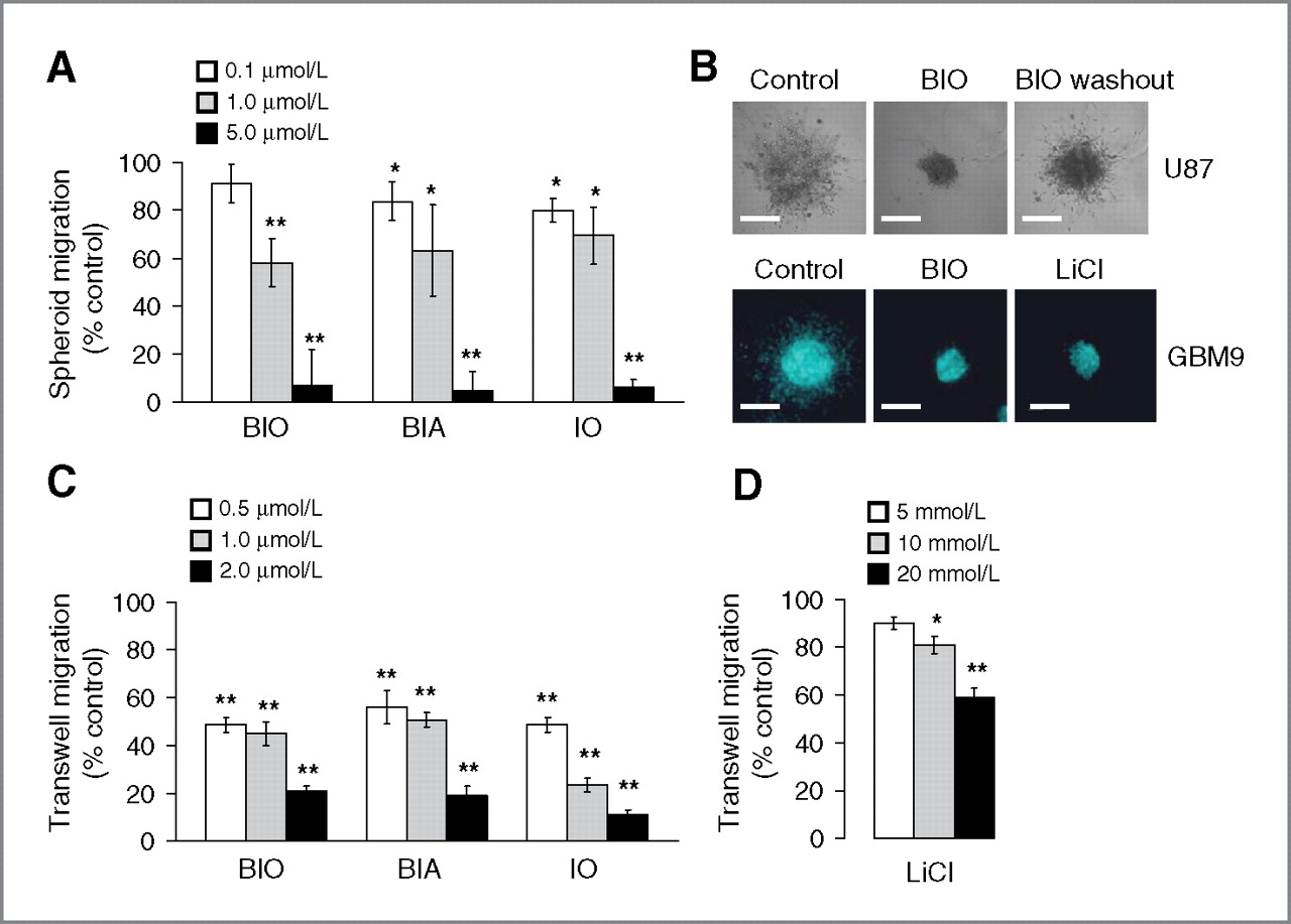 Three-Dimensional (3D) Spheroid Assay