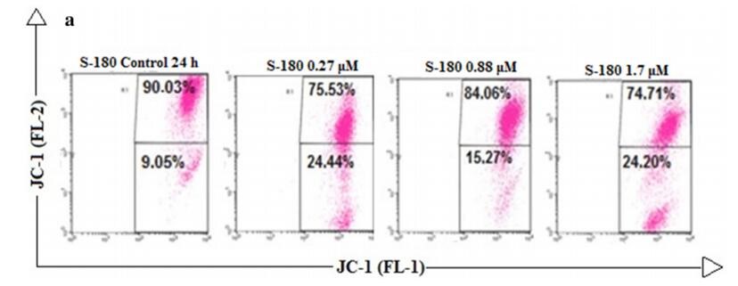Use JC-1 dye to detect mitochondrial membrane potential by flow cytometry