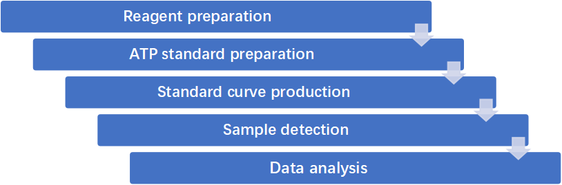 ATP Luminescence Measurement Service