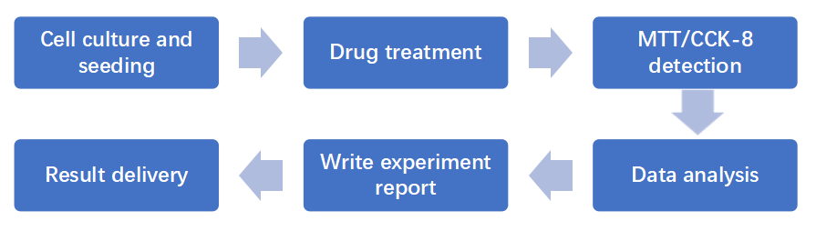 MTT/CCK-8 experiment process