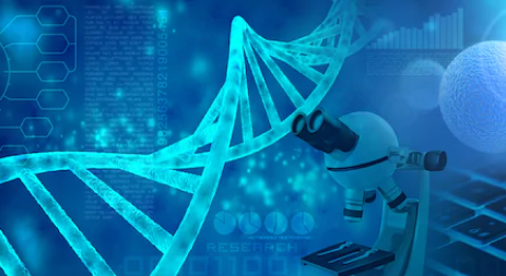 DNA Fragmentation Analysis