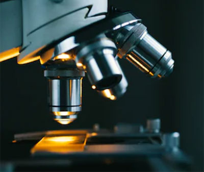 Apoptosis Morphology Detection