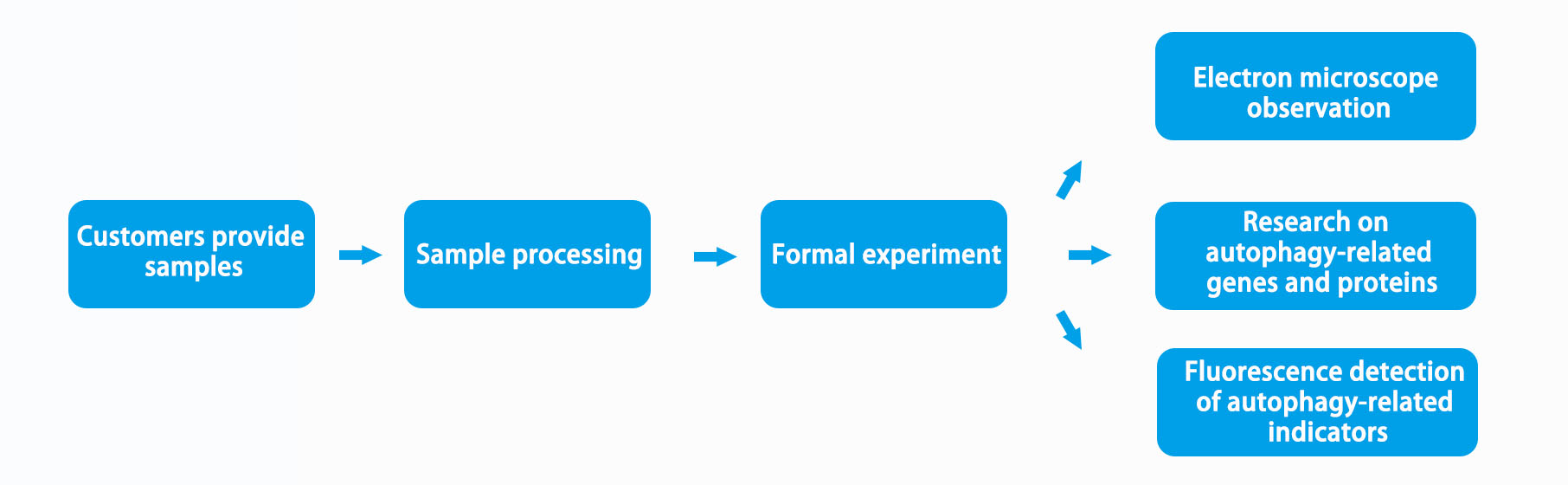 Service Process