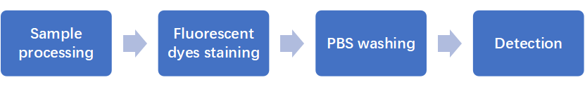 Experiment process - Creative Bioarray