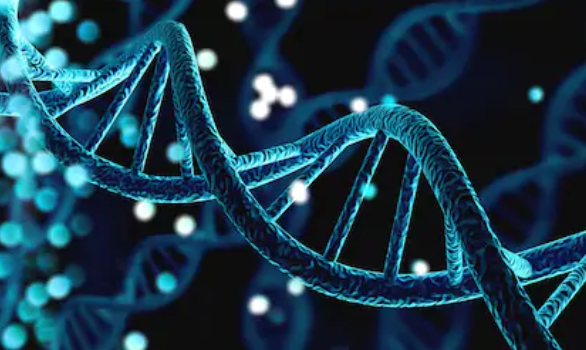 DNA-coding-compound-library-construction