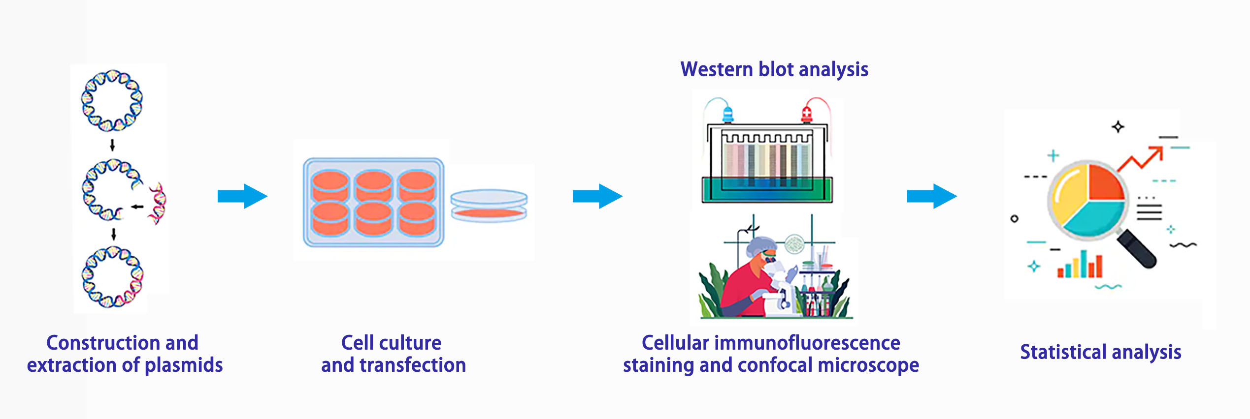 Experiment process - Creative Bioarray