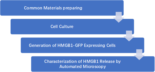 HMGB1-Extracellular-Release-Detection