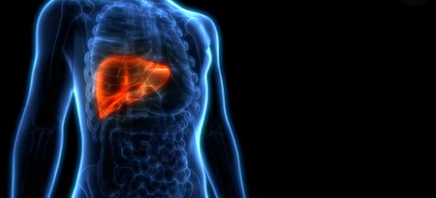 Liver Toxicity Solution