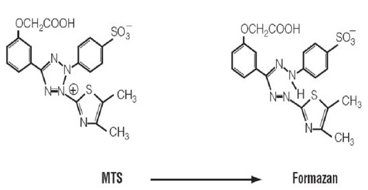 MTS-Cell-Proliferation-Assay-1.jpg