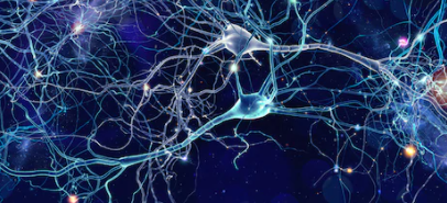 Neurotoxicity Solutions