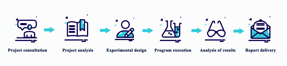 Service Process