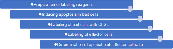 Efferocytosis