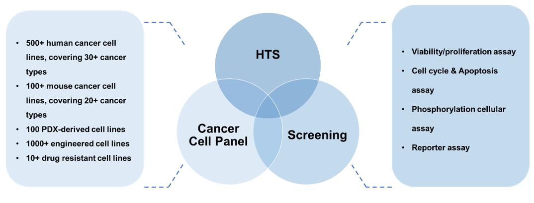 Cancer Cell Panel Screening